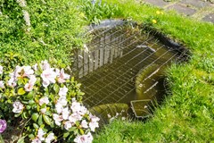 08. Samoas 21, Utrecht.jpg